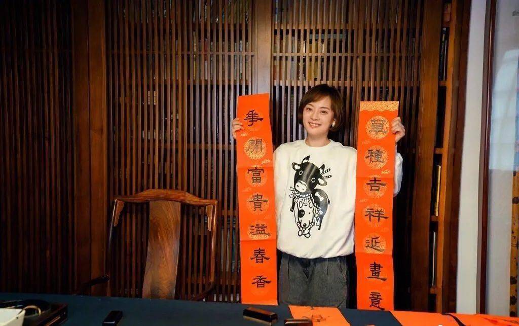 孙俪晒春联惊艳了书坛