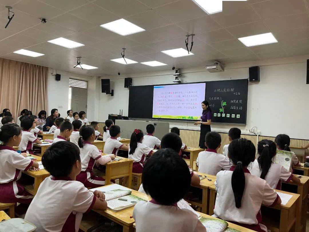 走进名师课堂领略名师风采