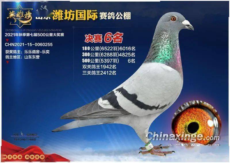 712d8eb55c3444518156149dd4f6062a.jpeg