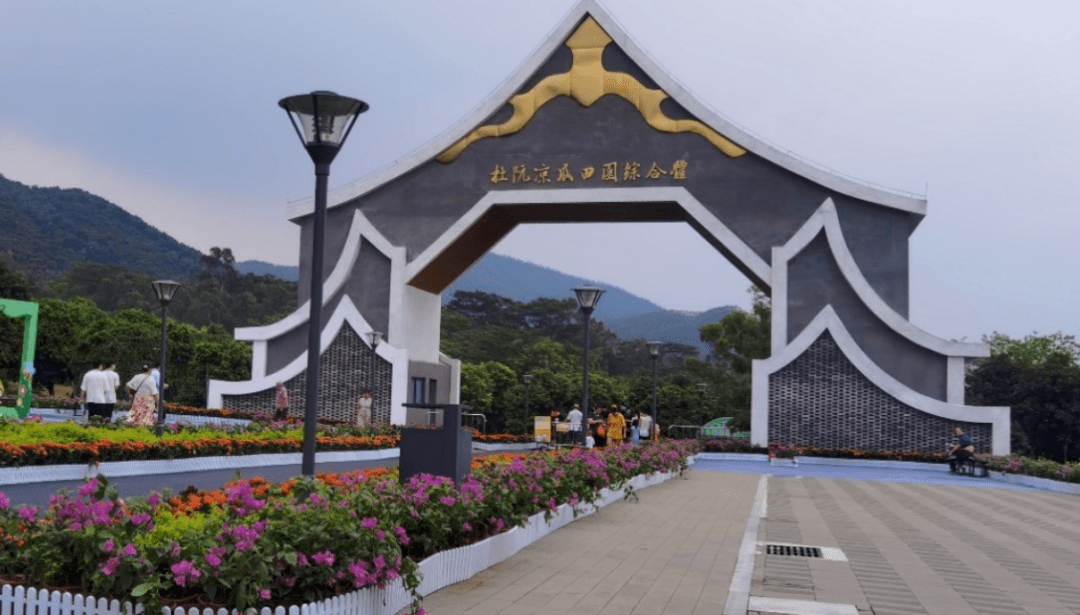 奋进新征程杜阮镇感恩自强奋进全力以赴推动高质量发展