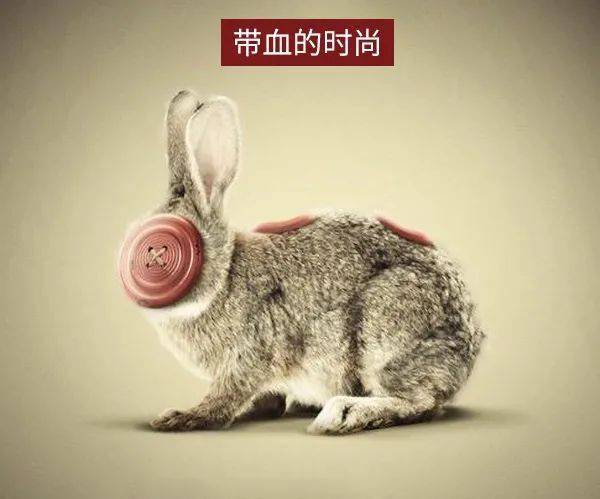 永久禁止毛皮养殖,《elle》杂志全球停止宣传皮草_动物_时尚_国际