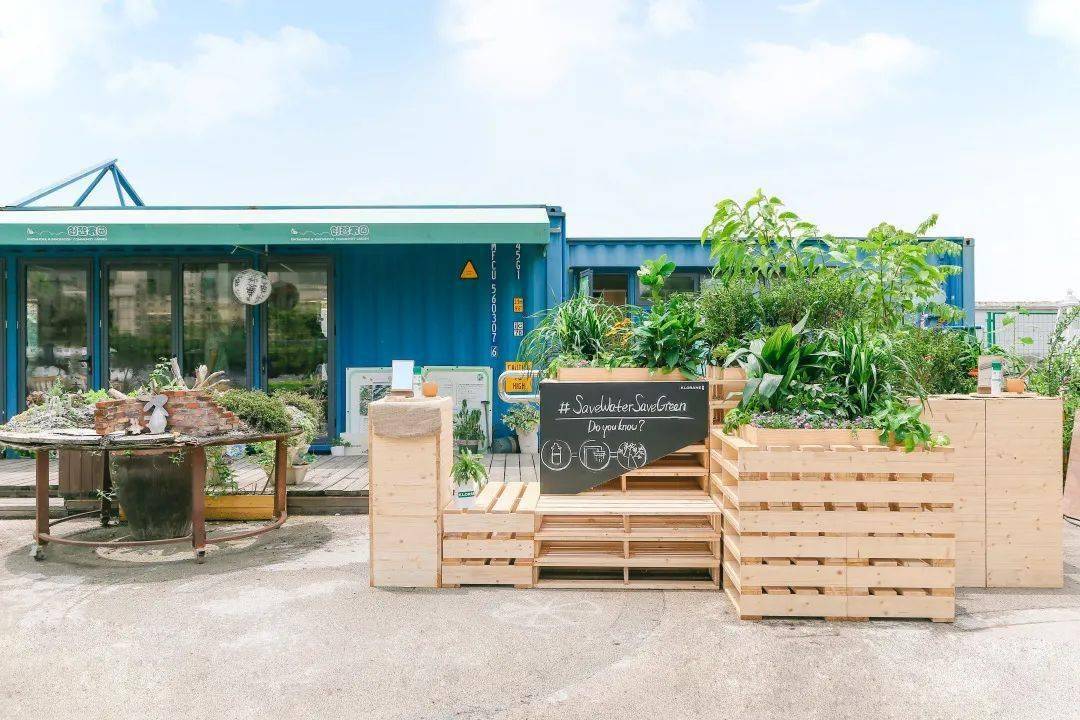 杨浦这处"家门口"的都市田园,藏着你想要的诗和远方_社区_创智_活动