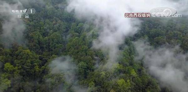 美景|假期赏美景 | 感受大美中国的锦绣山河