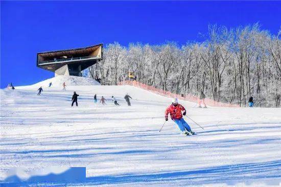 吉林|送你一份来自吉林市的冰雪大礼包