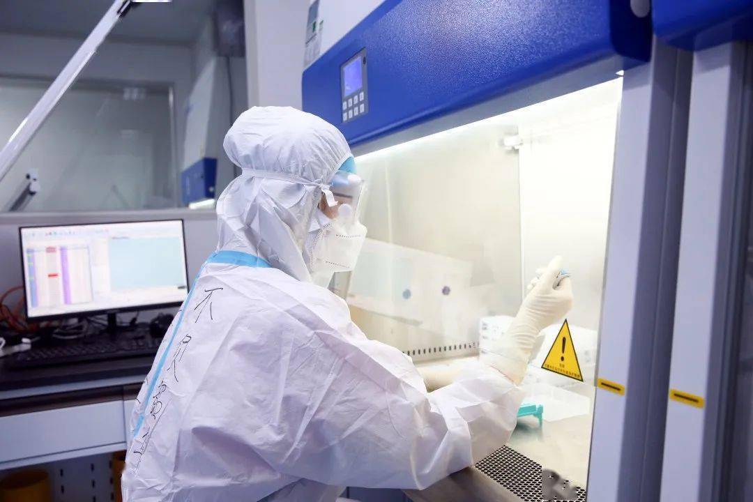 批次检验报告模板 7741ffdb400740f7876567024ff5d5b5.jpeg