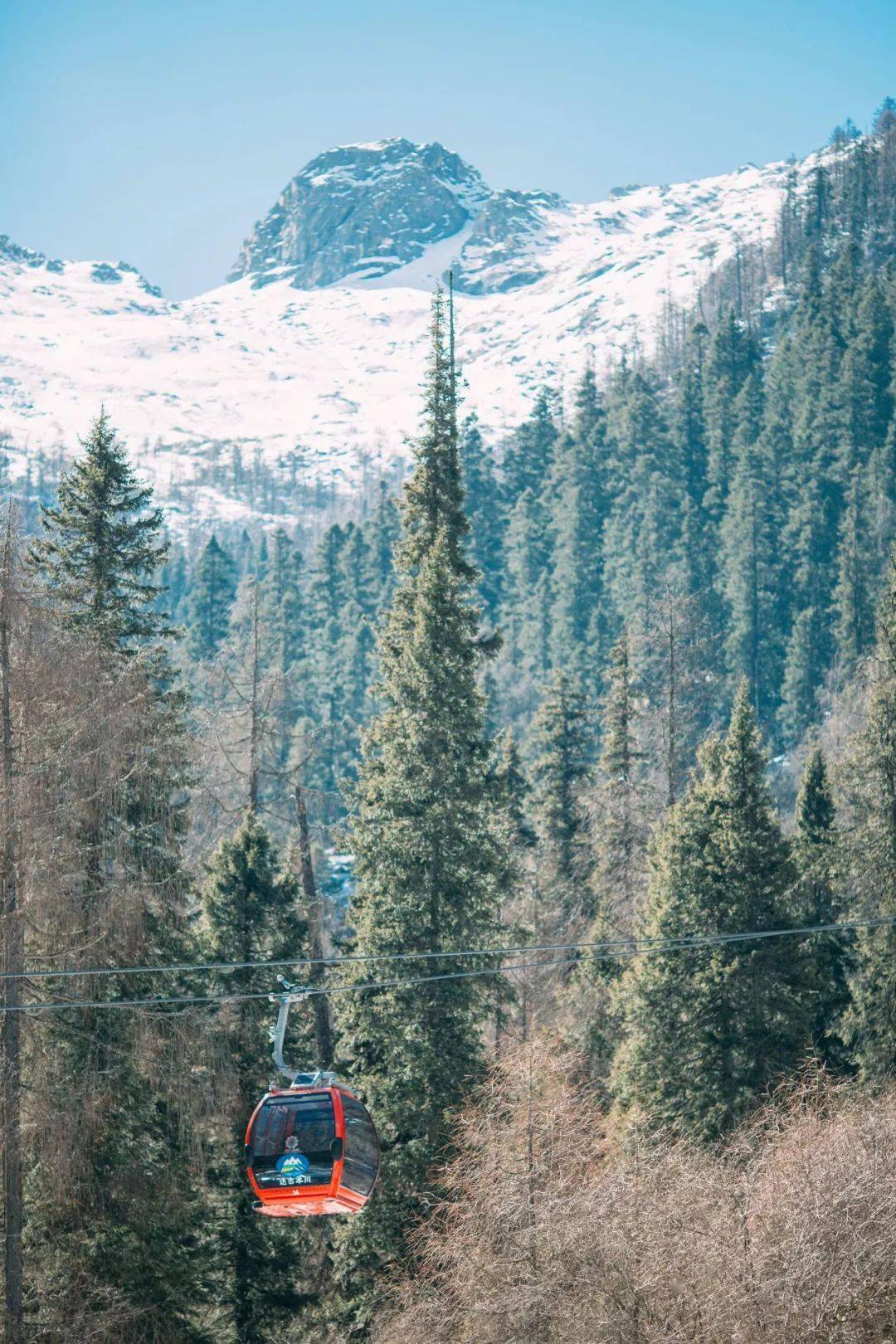 阿尔山|2022的第一场雪，去哪儿看才最浪漫？