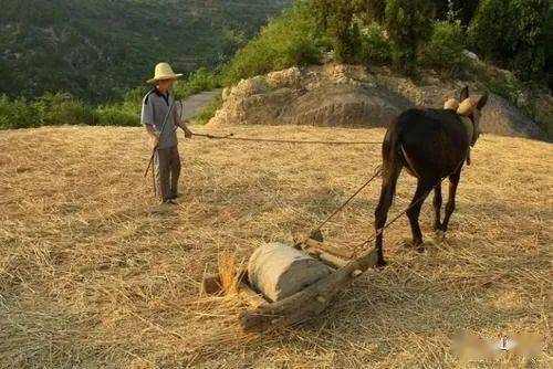 作用在于犁耙过后平整水田,现在基本上没有了.