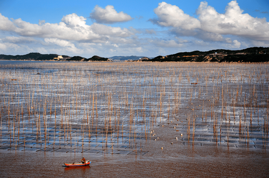 洞头霓屿紫菜田园综合体洞头霓屿紫菜田园综合体的建设区域涉及霓屿全