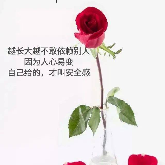 1月5日,致自己的一段话_未来_才能_耳语