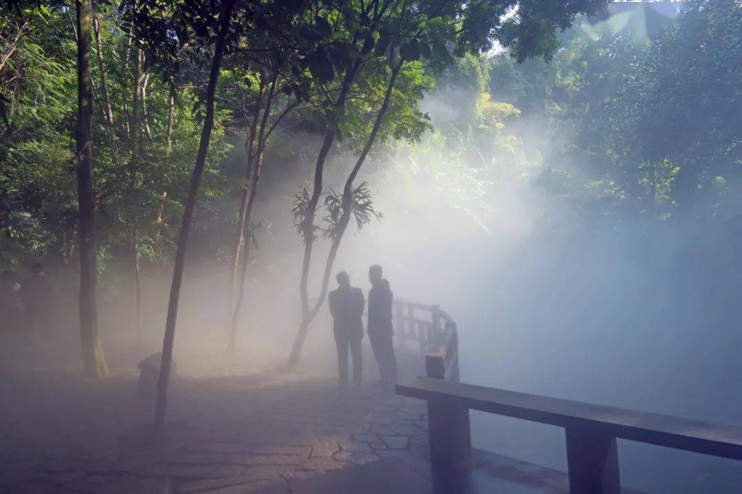 景点|“仙气”缭绕！厦门这个网红景点上新了，打卡走起~