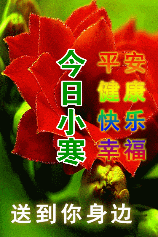 小寒最漂亮早上好动态表情图片大全,早晨好动图美图大全_祝福_问候