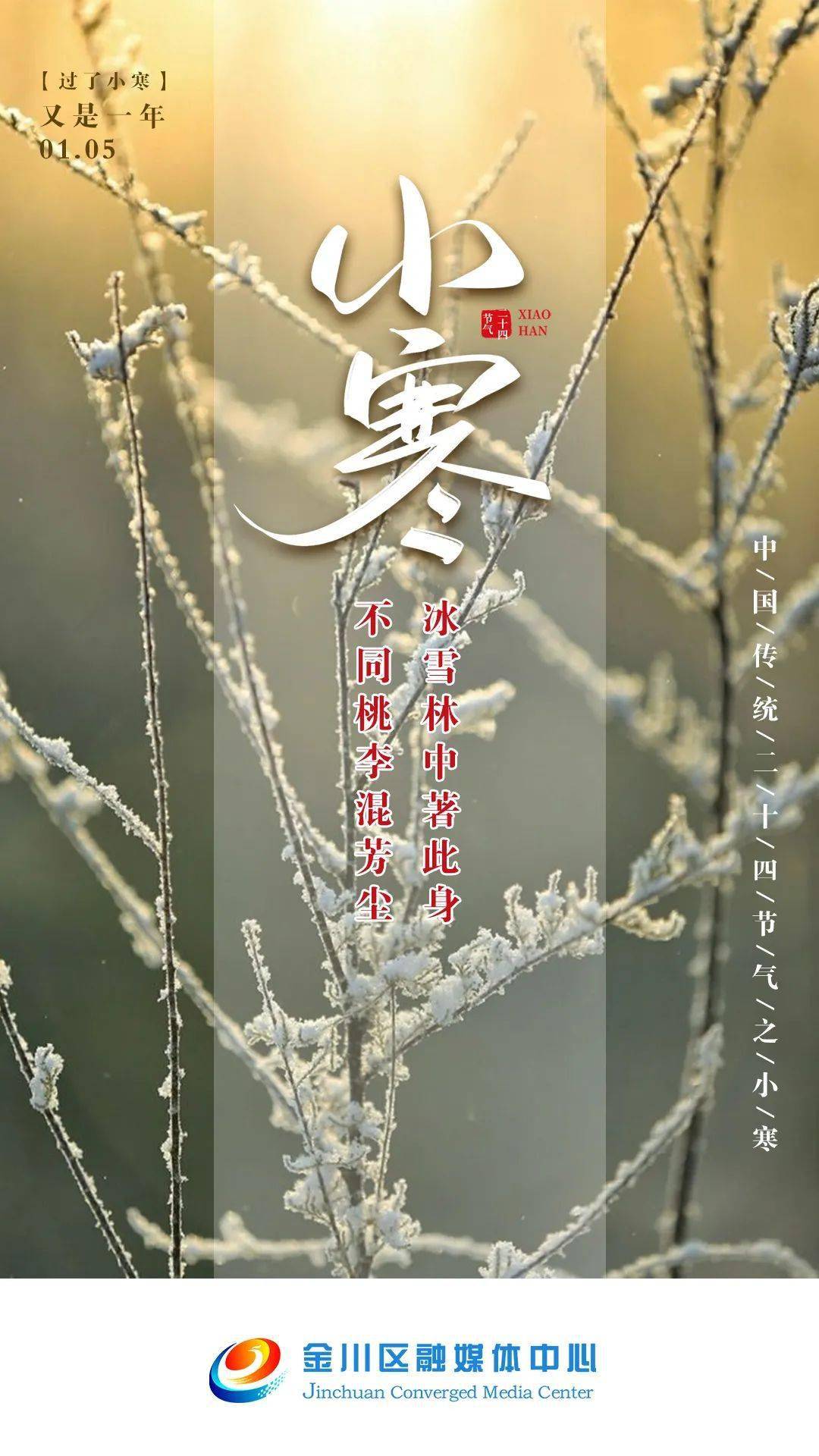 冰雪【微海报】今日小寒 | 冰雪林中著此身 不同桃李混芳尘
