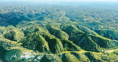 植树造林为世界增绿降碳山水林田湖草沙系统治理故事③
