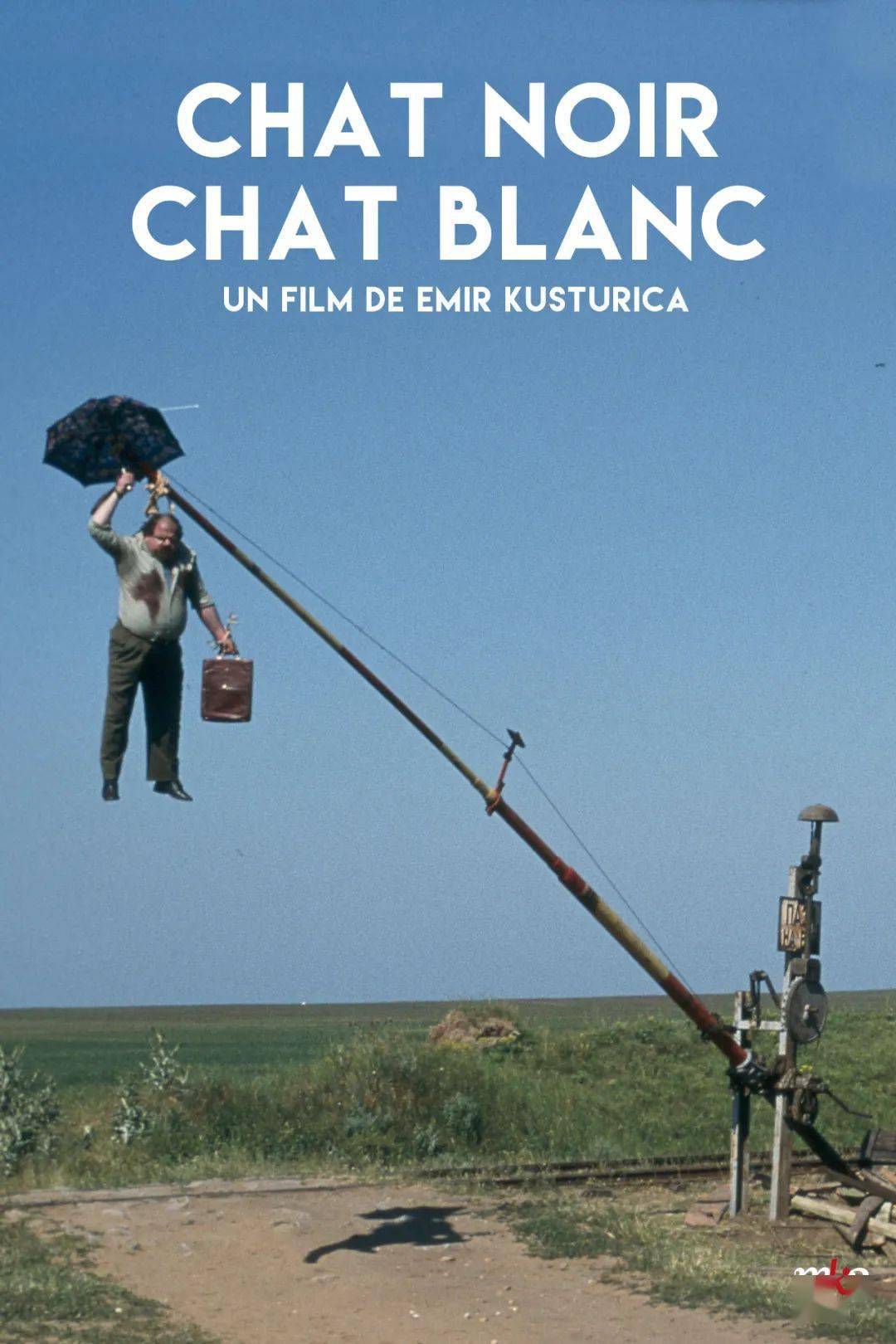 热闹而荒谬的吉普赛挽歌18电影沙龙黑猫白猫