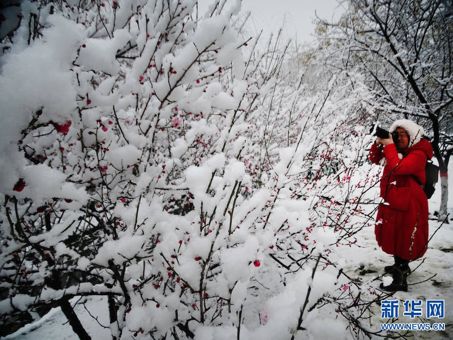 雪景|雪后汴京 景色迷人