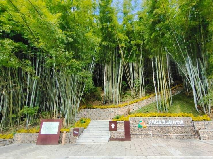 周末打卡好去处许鸿飞雕塑艺术百村展走进广州黄麻啦