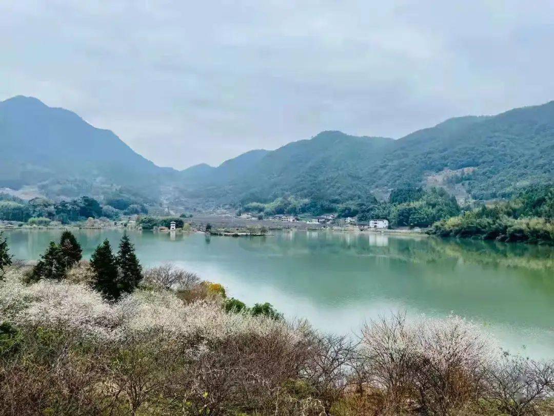 來到福建省福州永泰縣大喜村,站在村口望著綠色的群山懷抱波光粼粼的