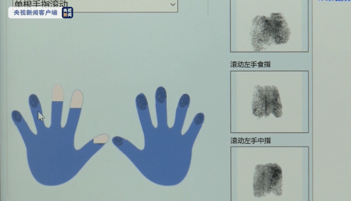 身体|我国表型组研究获重大突破 首次揭示指纹与身体发育基因关联