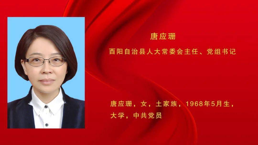 新一届县人大常委会县政府领导班子县监委主任县人民法院院长名单