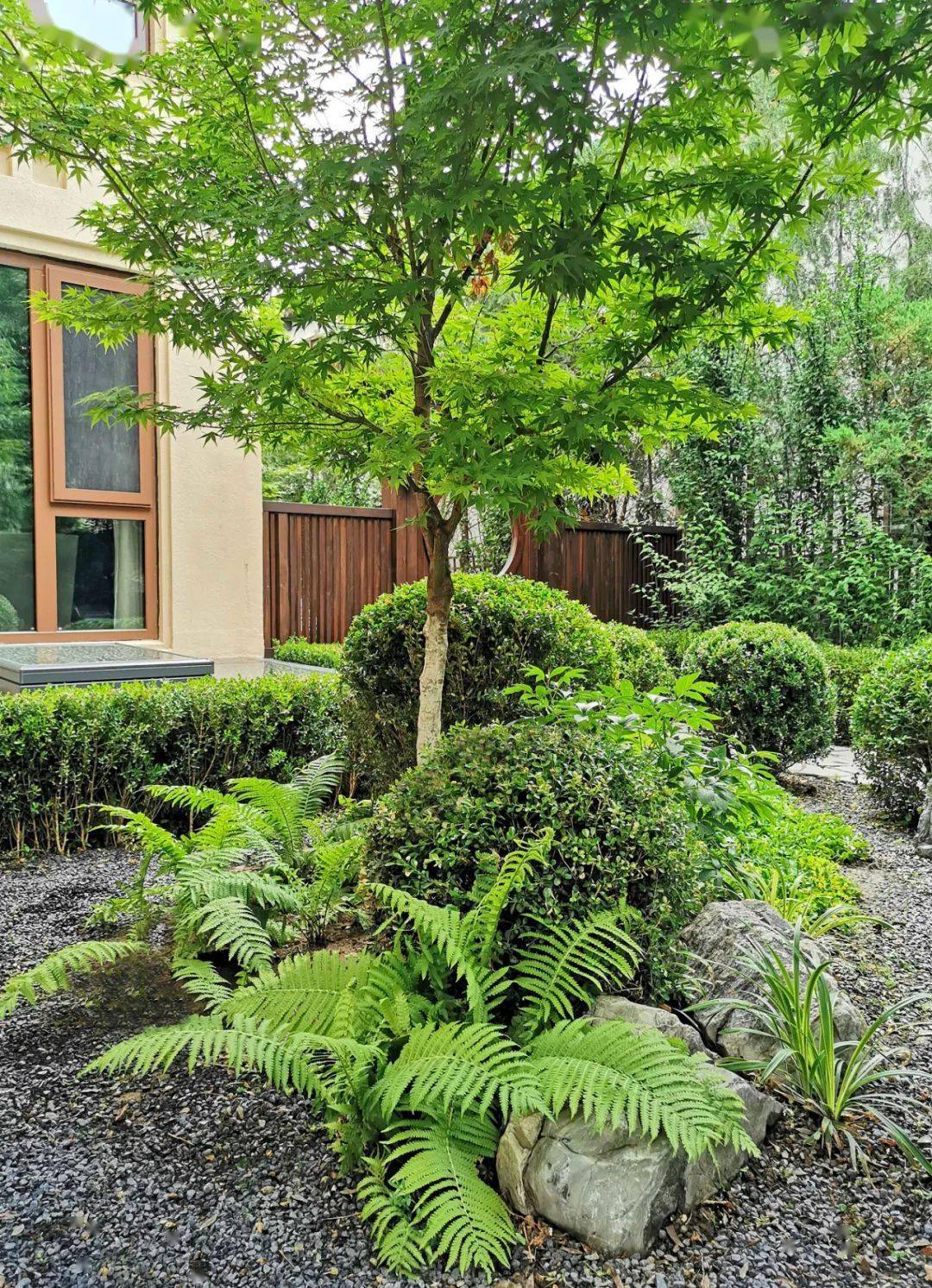 如何打造禅意花园运用这10种植物搭配很关键北方实用篇