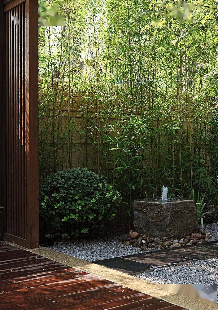 如何打造禅意花园运用这10种植物搭配很关键北方实用篇