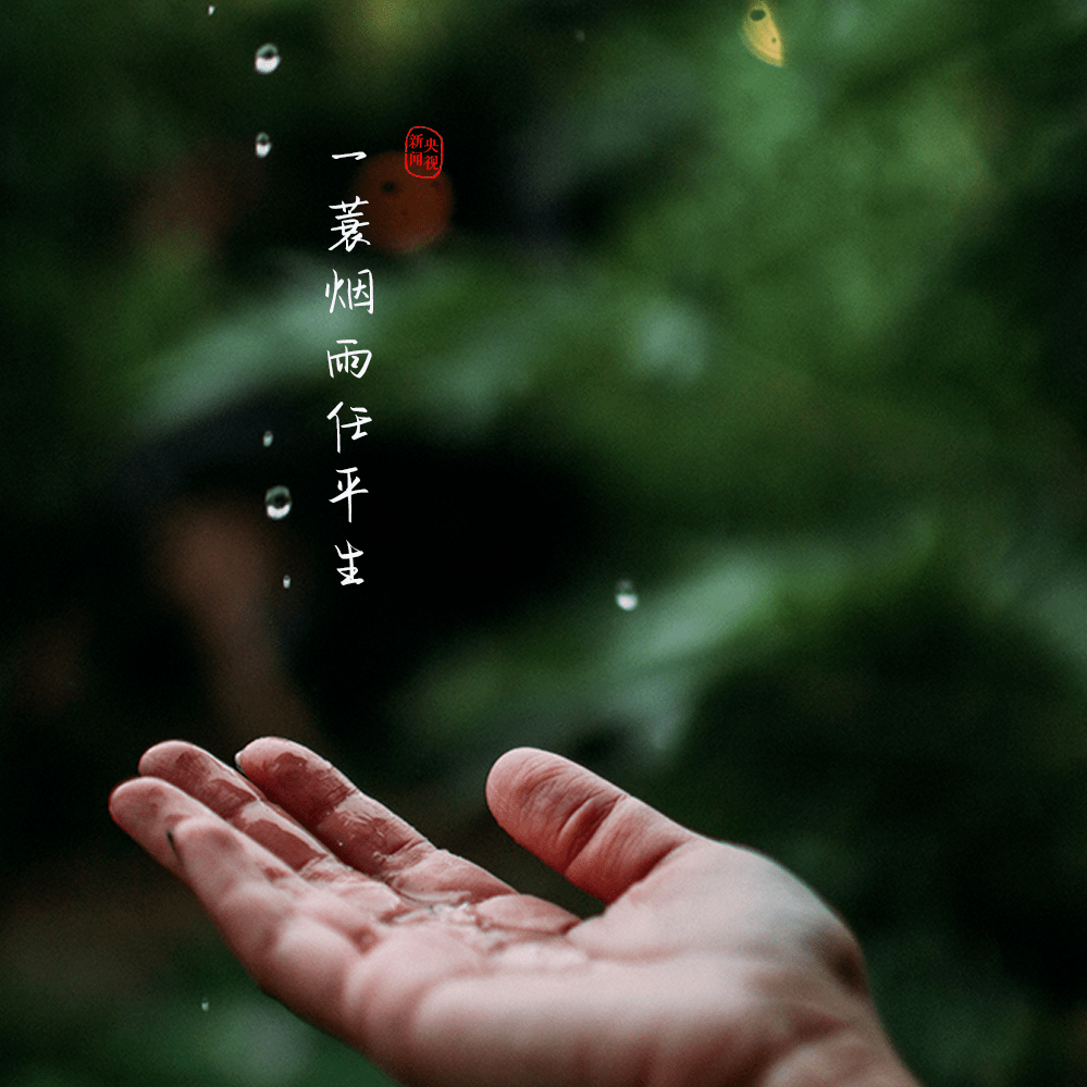 烟雨任|苏东坡，生辰快乐！