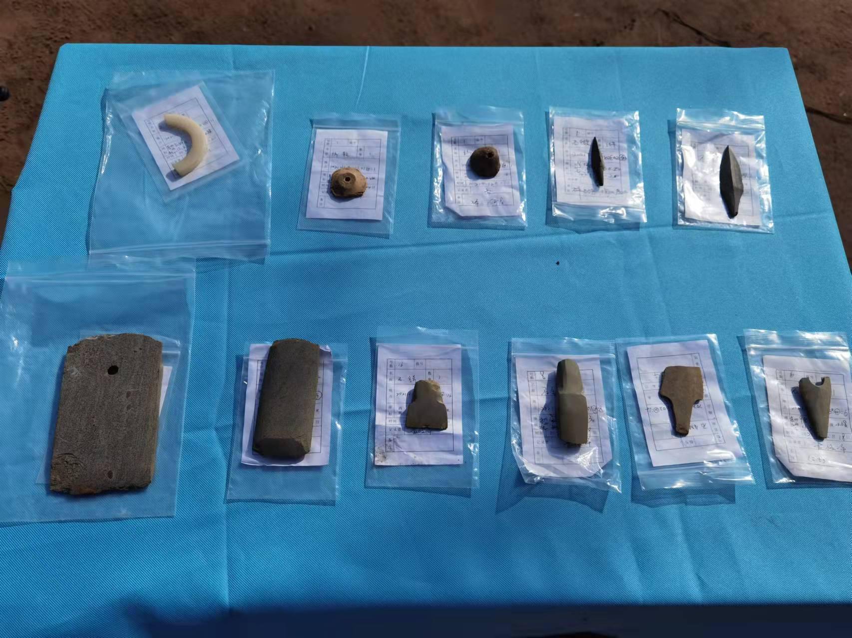东莞市现首个沙丘类型古文化遗址出土一批新石器时代末期至商时期的