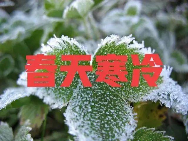 天气预报：三九到，新一轮雨雪天气来袭，有啥预兆？农谚能预兆