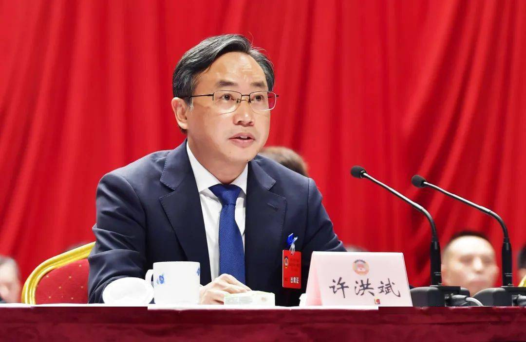 "两会"进行时|南岸区政协十一届一次会议胜利闭幕_许洪斌_大会_全区