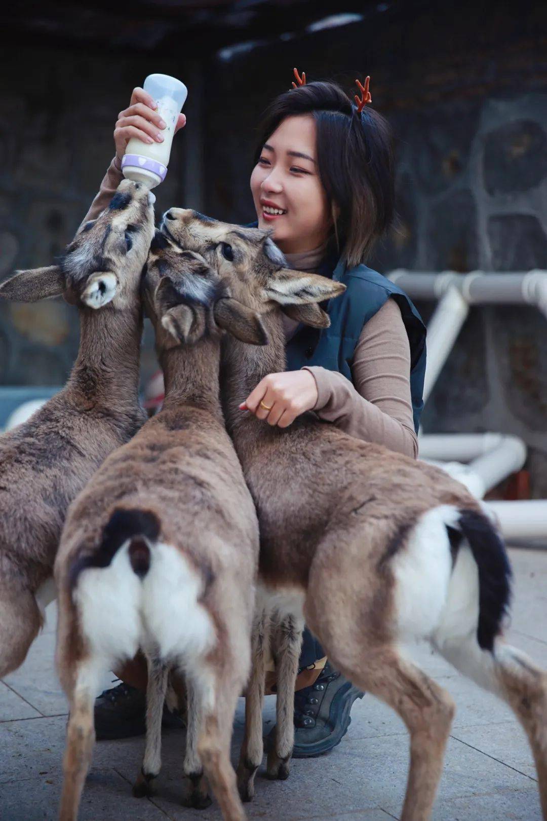 初雯雯野生的河狸公主生命守护者