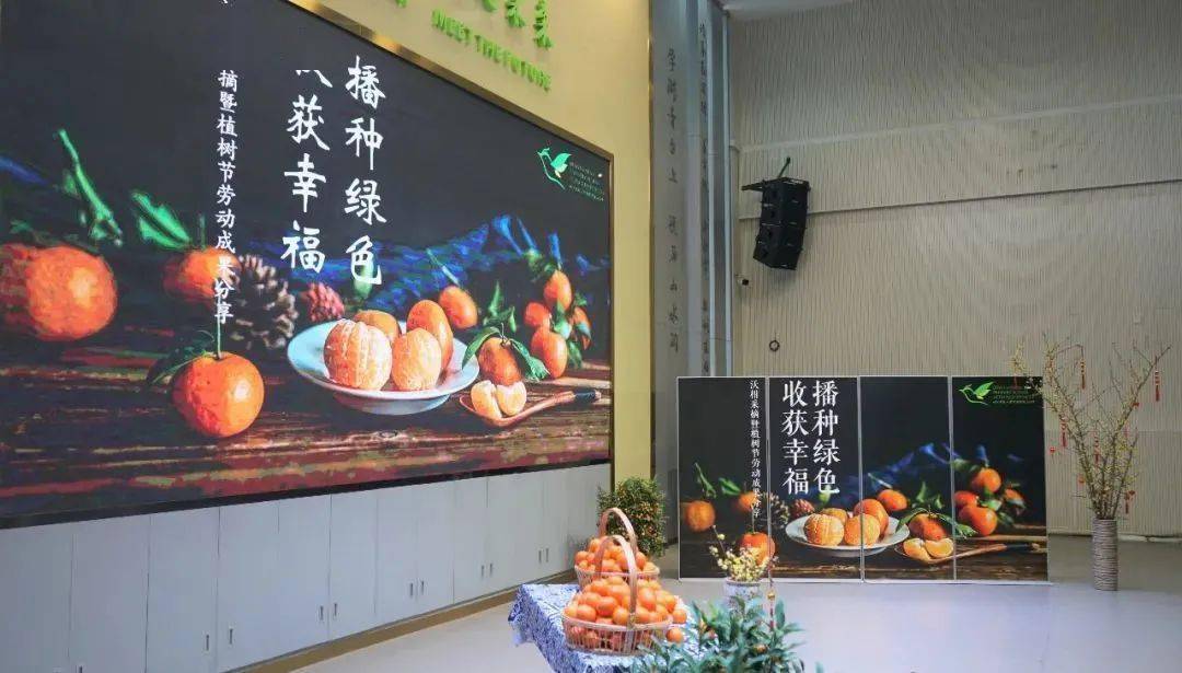 班级|播种绿色 收获幸福 | 一起来学校摘沃柑吧！