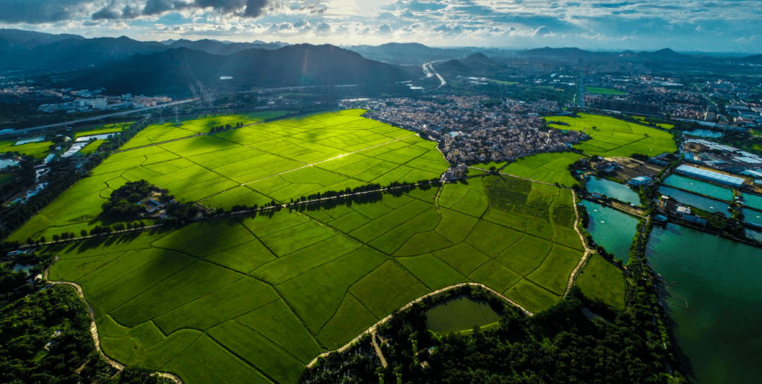 三鄉鎮_桂山_文化