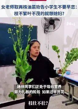 处理|为防止学生早恋，老师拔了2棵油菜，学生秒懂！网友：值得推广！