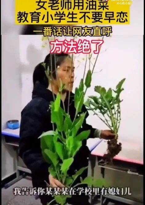 处理|为防止学生早恋，老师拔了2棵油菜，学生秒懂！网友：值得推广！