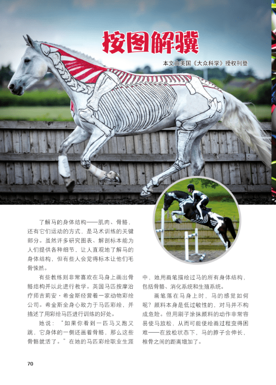 期刊|【期刊】培养“理科”兴趣，为孩子打开认识“科学”的一道大门