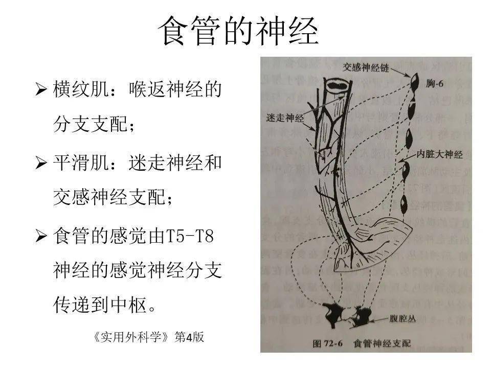 深圳大学总医院 | 食管癌手术麻醉的初步了解_陈东英_江建峰_胸腹