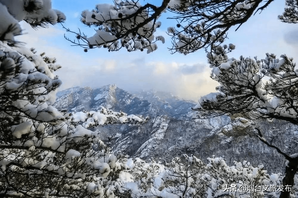 世外桃源|一场冬雪后，昆嵛山竟变成这样……