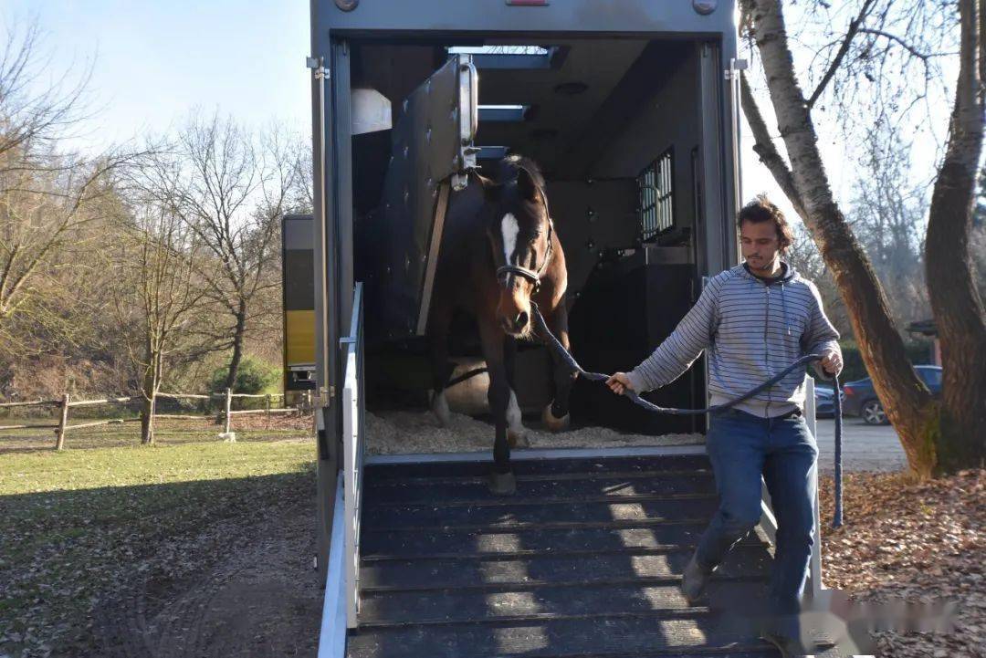 470打造的马匹运输车_搜狐汽车_搜狐网
