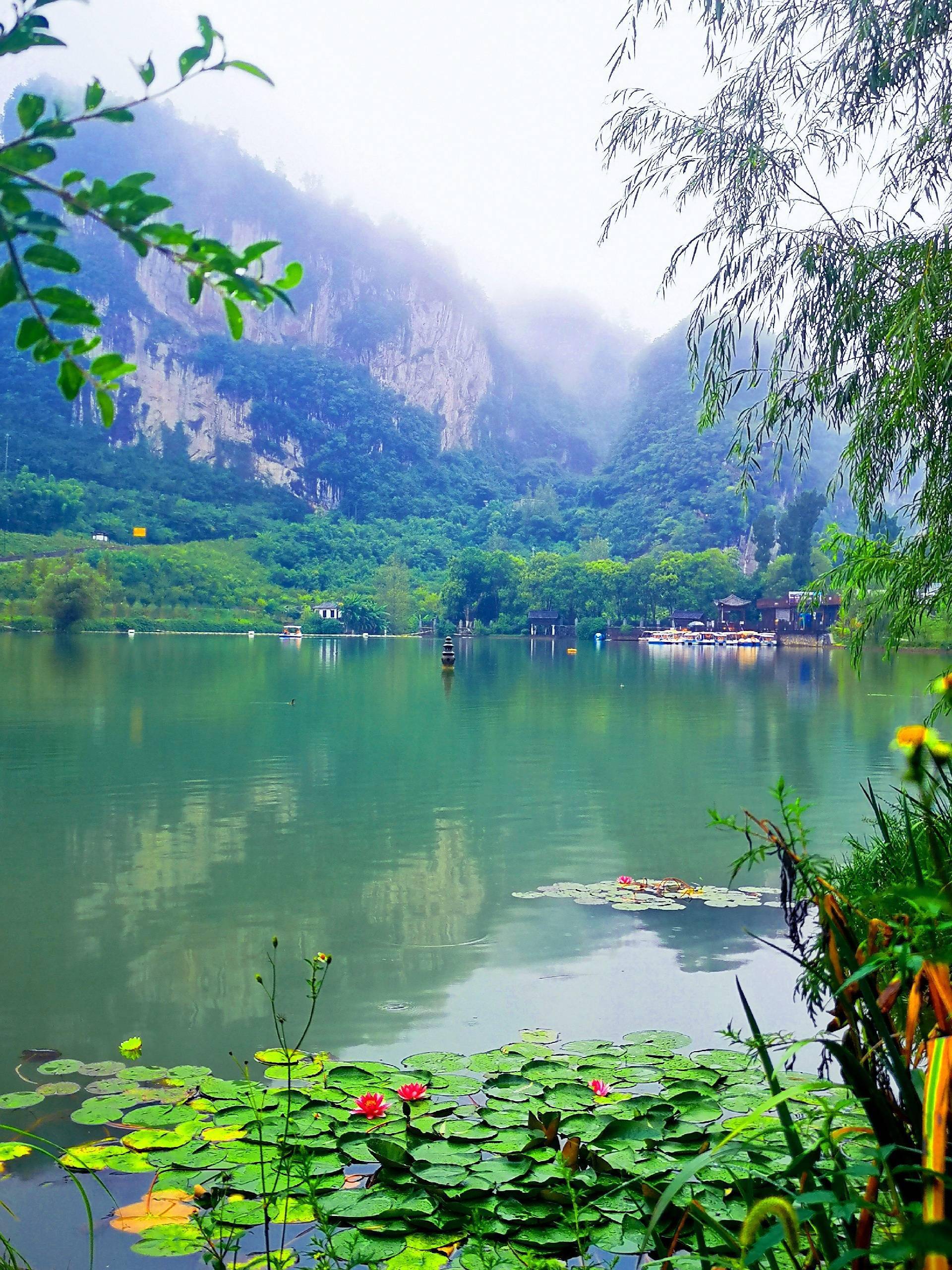 七一文学游桐梓小西湖陈劲专栏