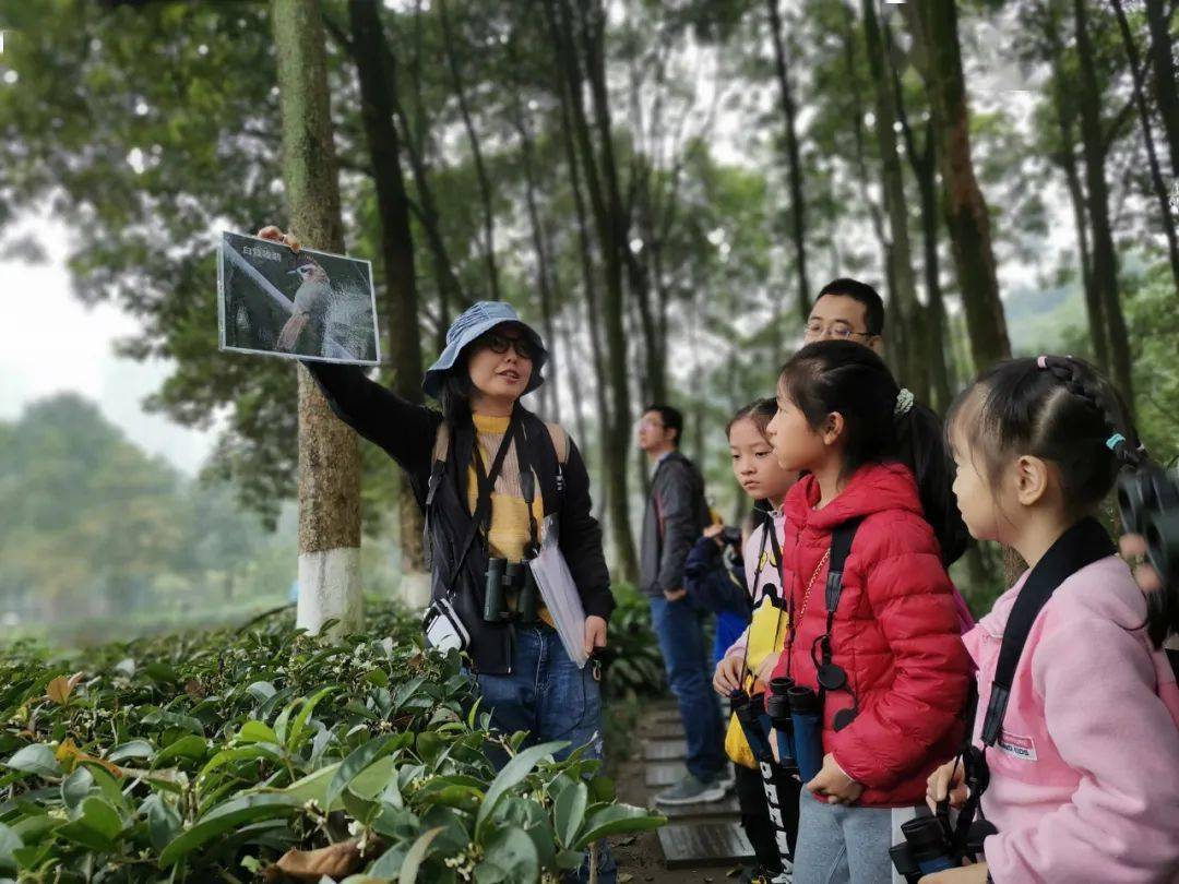 重庆青少年走进大自然课堂