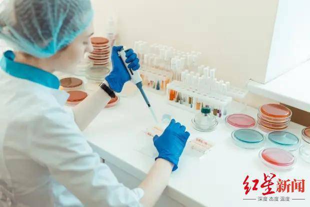 多国科学家警告：美欧生物实验室正制造可自我传播病毒，或造成“不可逆后果”