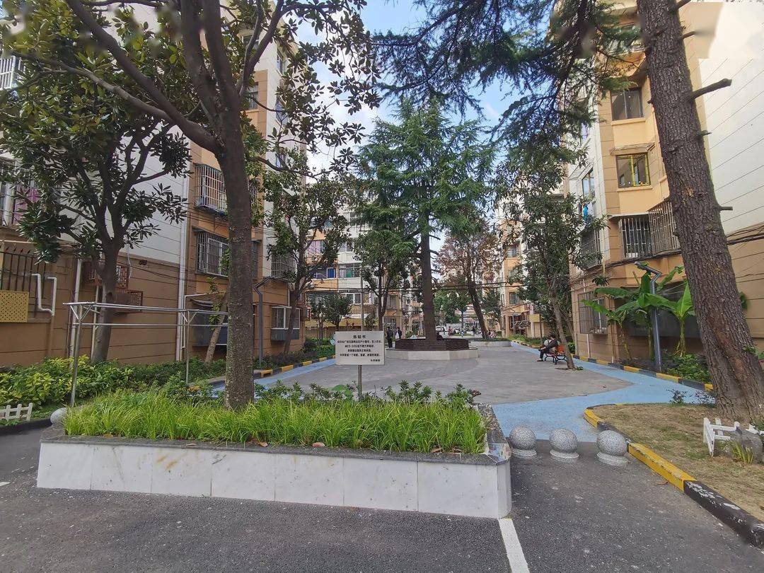 虹口区曲阳路街道"美丽家园 "项目喜获"十佳长效机制"荣誉_小区_施工