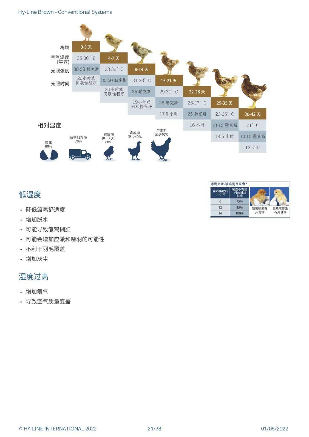 值得收藏海兰褐商品代蛋鸡2021新版饲养管理手册传统笼养系统