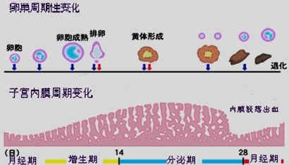 7d3e04320cdb41268453e6ed5b69c5bb.png