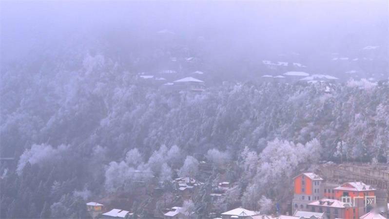 庐山|冬日美景|庐山雪景旖旎迎客来