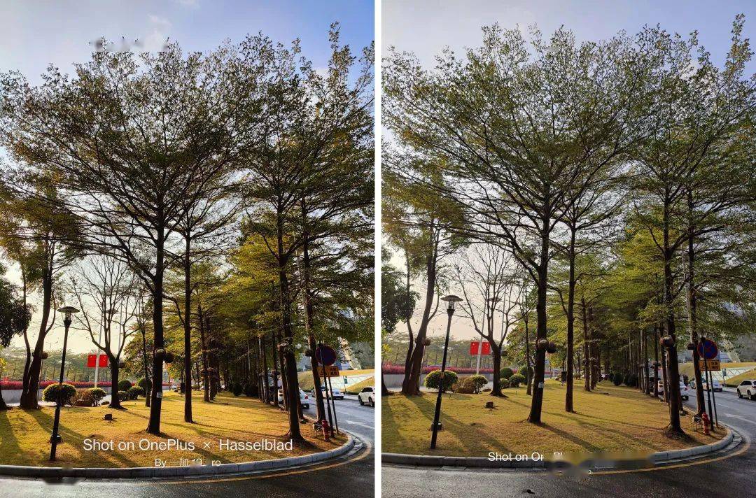 一加 10 Pro 测评：第二代哈苏影像挺强，但不是重点