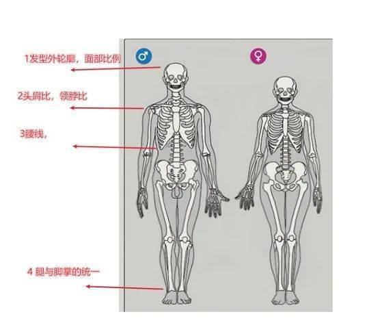 轮廓＂感觉不对！”，我们该如何具体表达我们对审美的感觉？