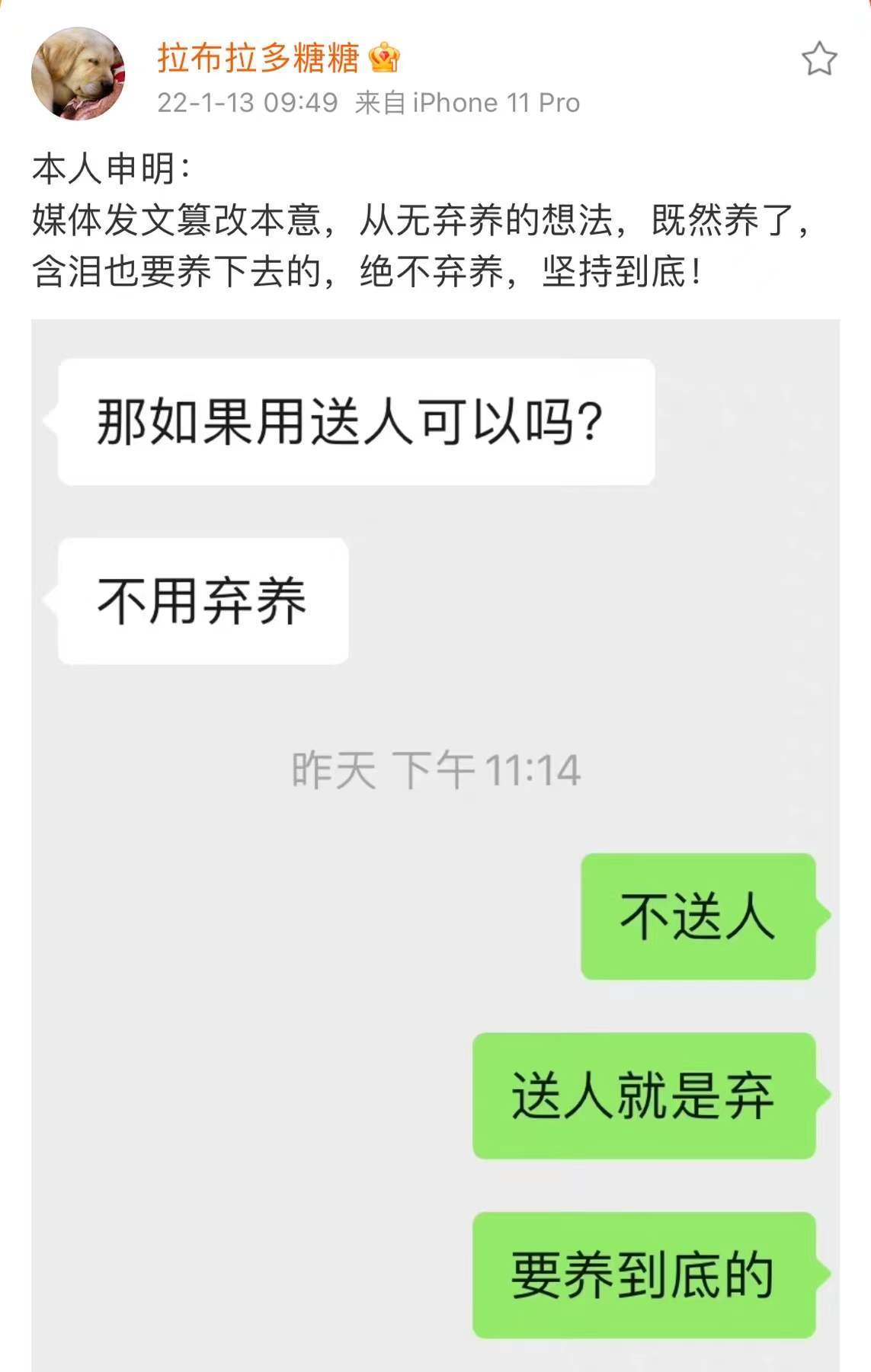 指令上海男主人花七千元送宠物狗上学后仍被咬，当事人：绝不弃养