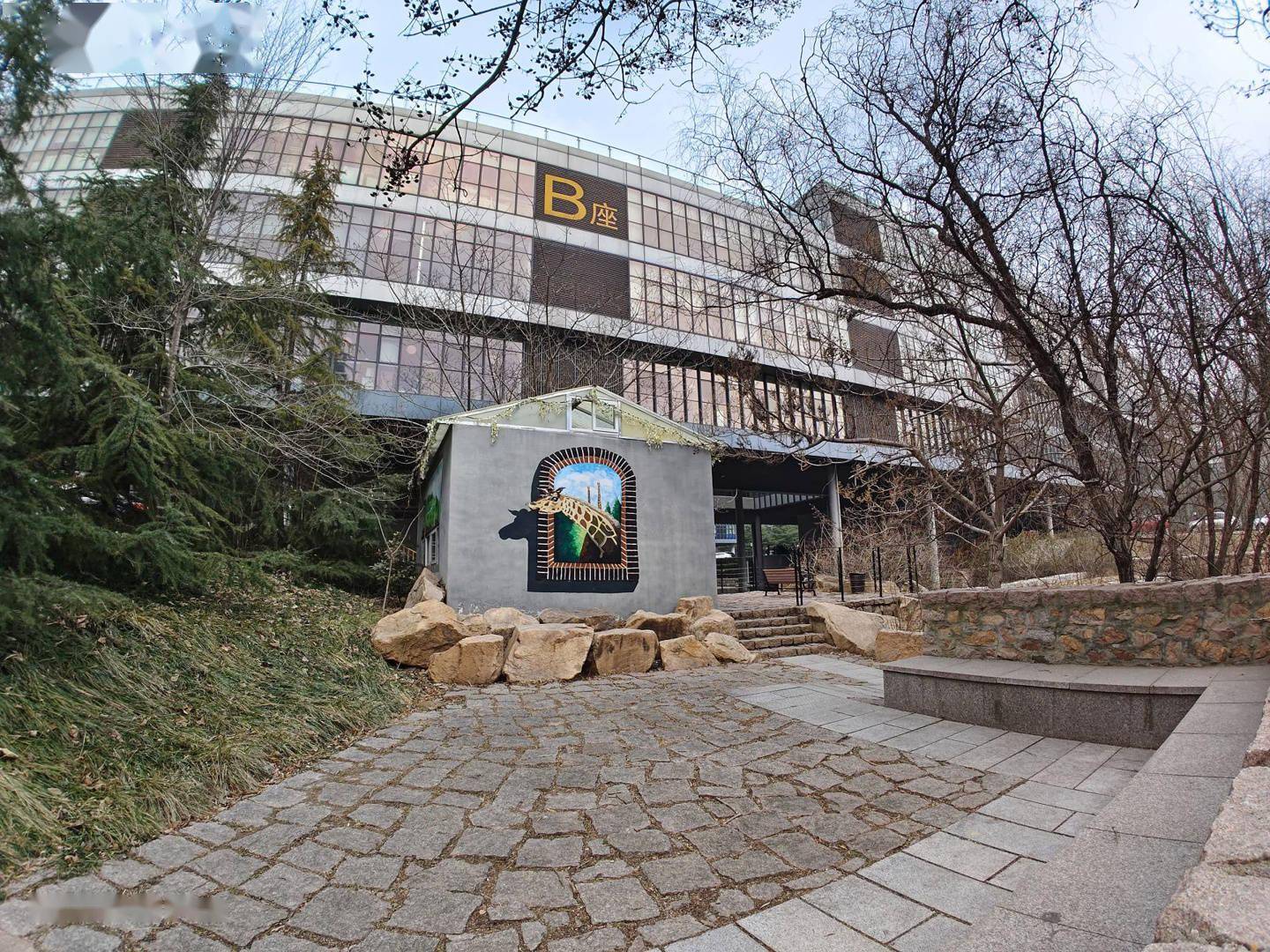 iQOO9 Pro 影像体验：首发三星 GN5，定格精彩瞬间