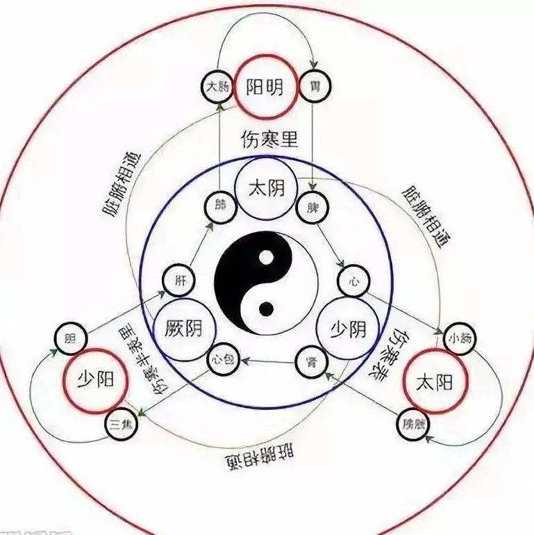 人体《精、气、神》的开关特效穴,开九窍,通全身经络_闸门_方法_气血